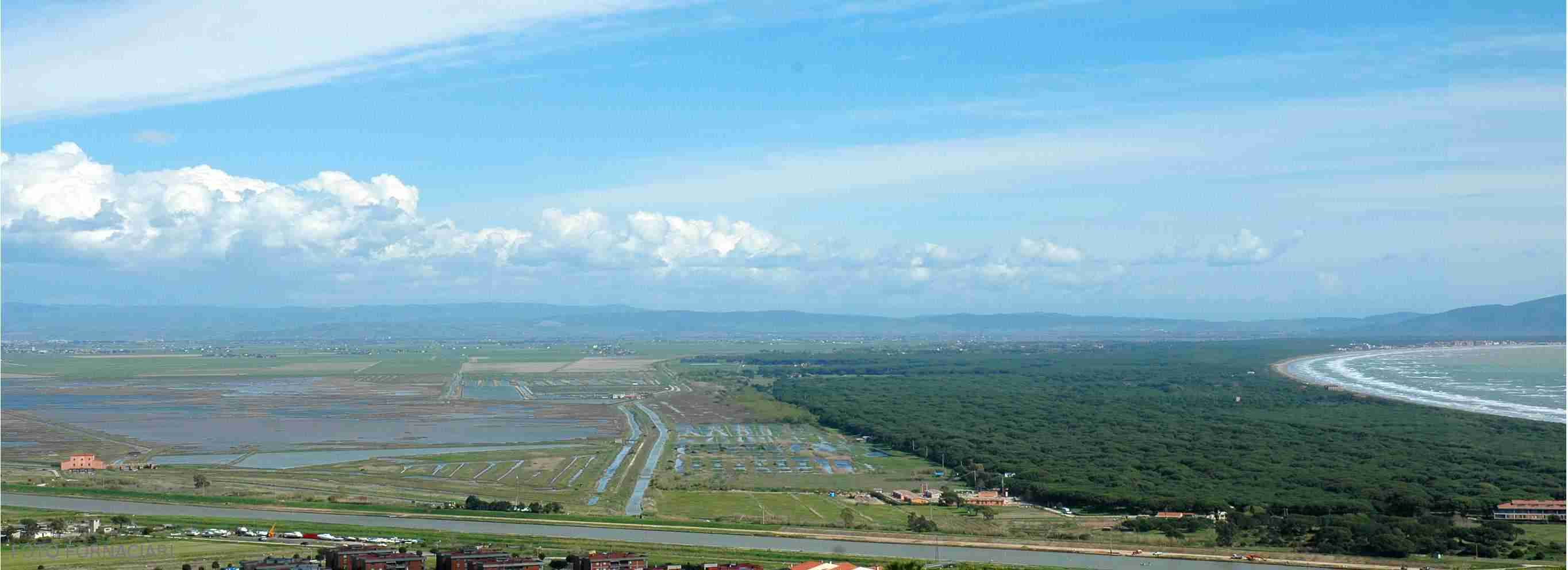 Padule della Diaccia Botrona a Castiglione della Pescaia nella Maremma toscana