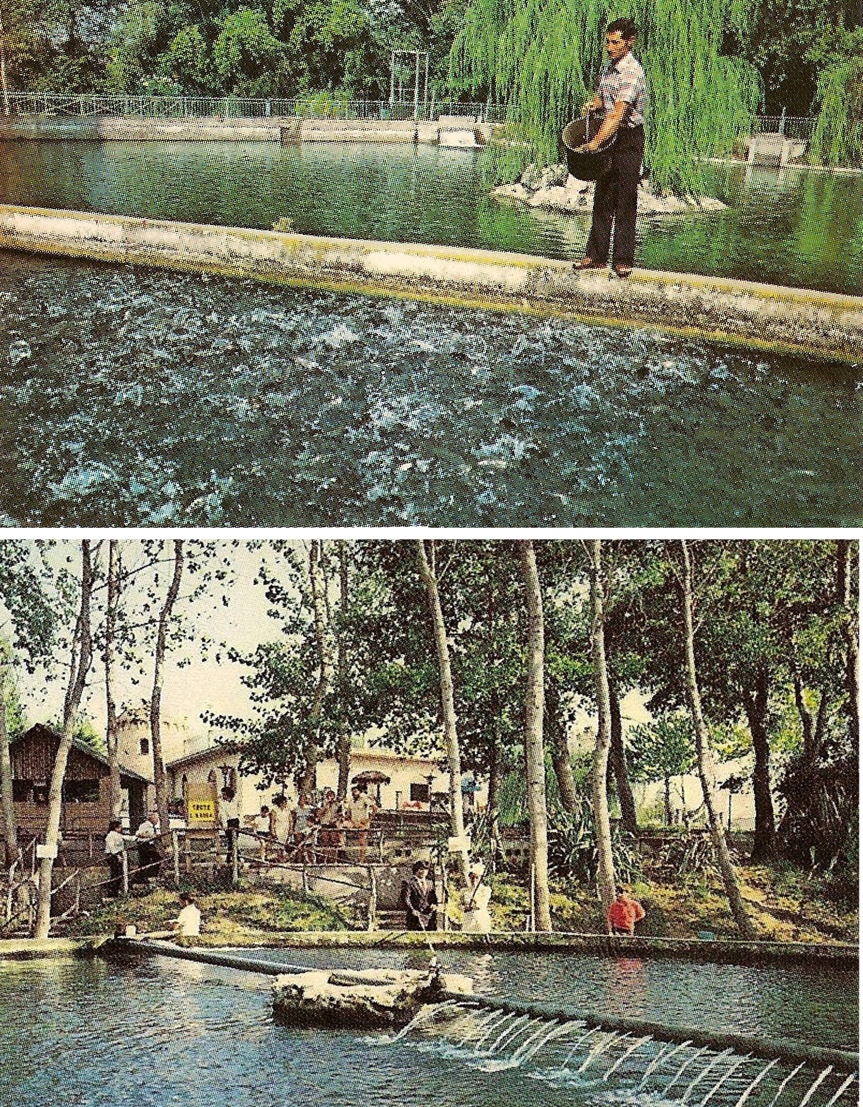 parco