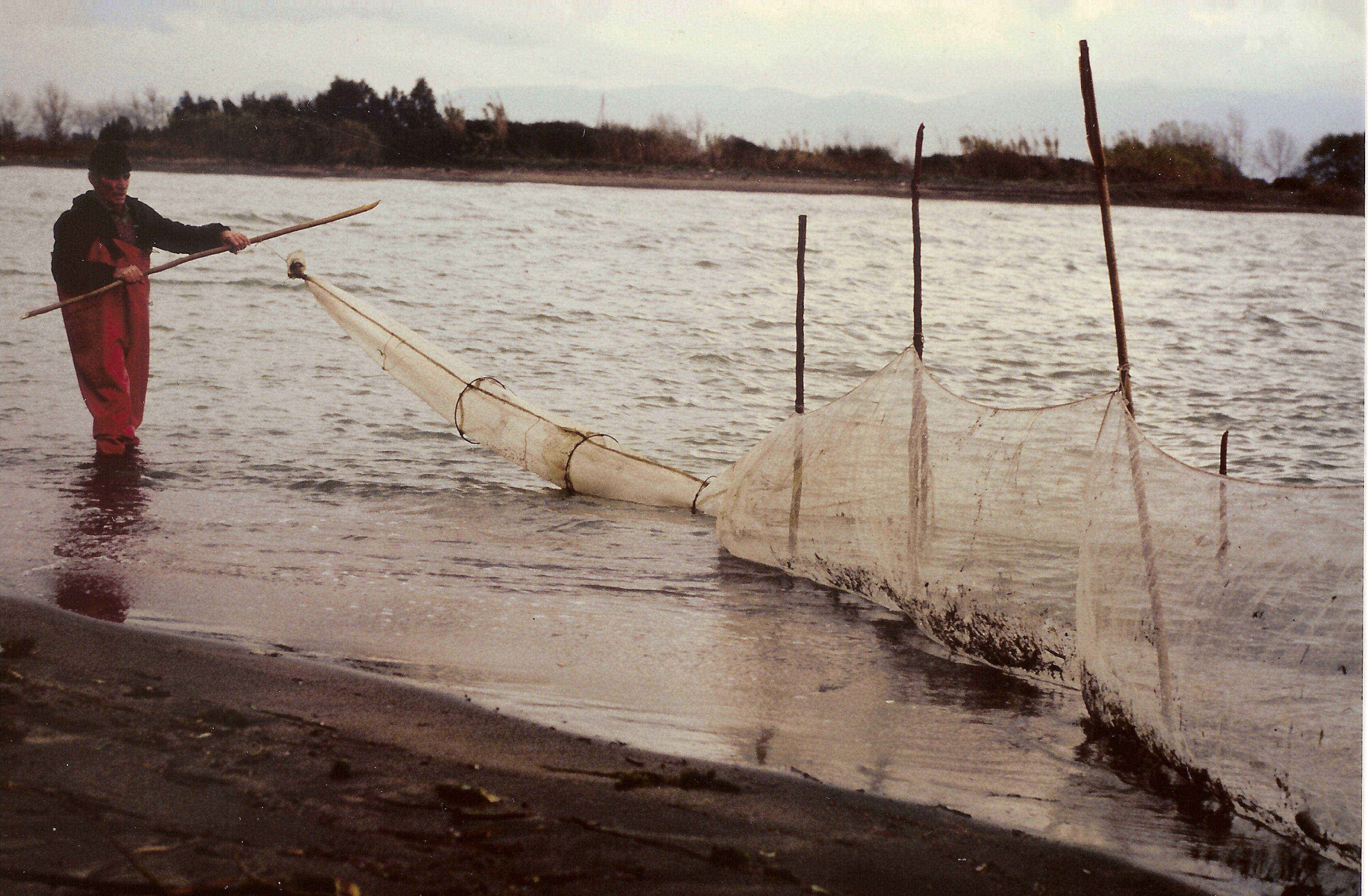 pescaceche